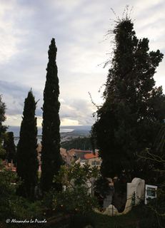 sa Cuseni-08-01-2016 07-49-14